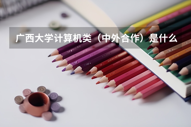 广西大学计算机类（中外合作）是什么，填志愿