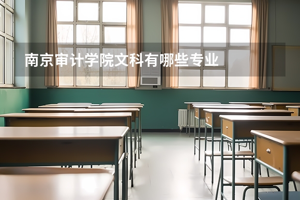 南京审计学院文科有哪些专业