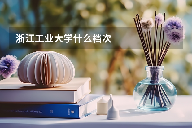 浙江工业大学什么档次