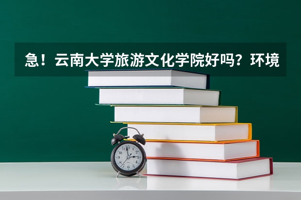 急！云南大学旅游文化学院好吗？环境好吗？公办还是民办的？文凭被承认吗？宿舍怎样？是三本吧？