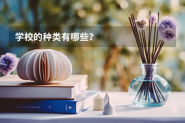 学校的种类有哪些？