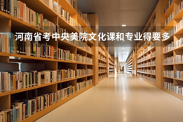 河南省考中央美院文化课和专业得要多少分?09年的分数线是多少?