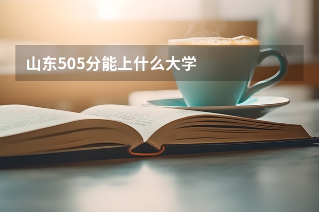 山东505分能上什么大学