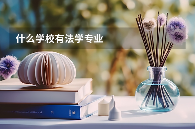 什么学校有法学专业