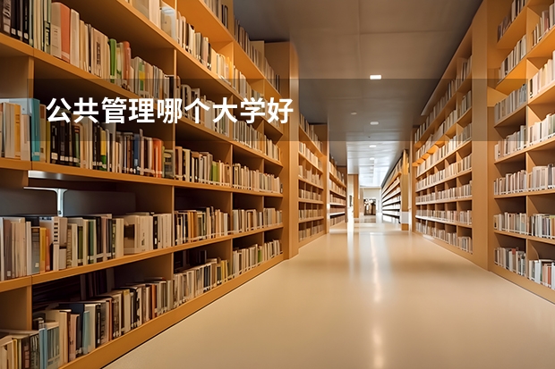 公共管理哪个大学好