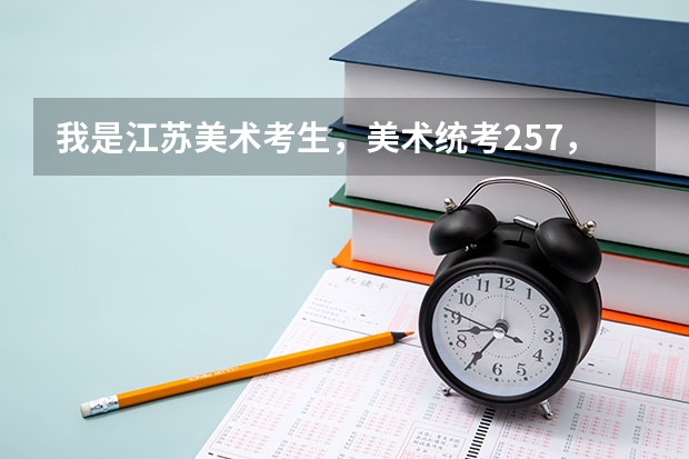 我是江苏美术考生，美术统考257，文化分264，省内能上哪些学校？