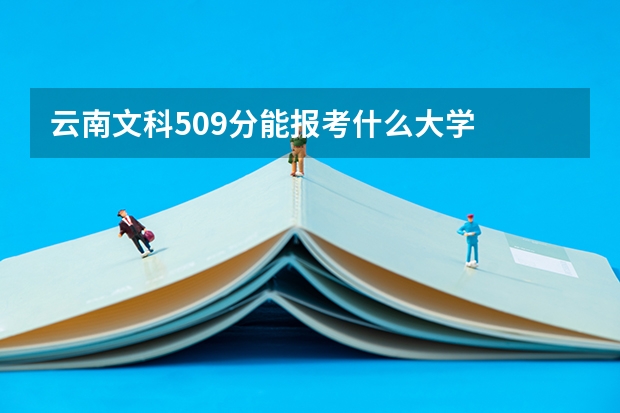 云南文科509分能报考什么大学