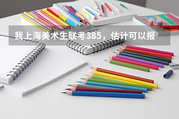 我上海美术生联考385，估计可以报考什么大学