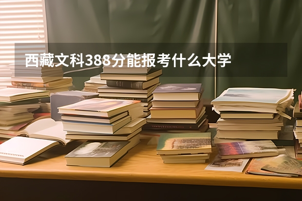 西藏文科388分能报考什么大学