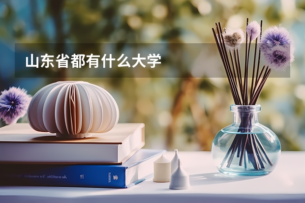 山东省都有什么大学