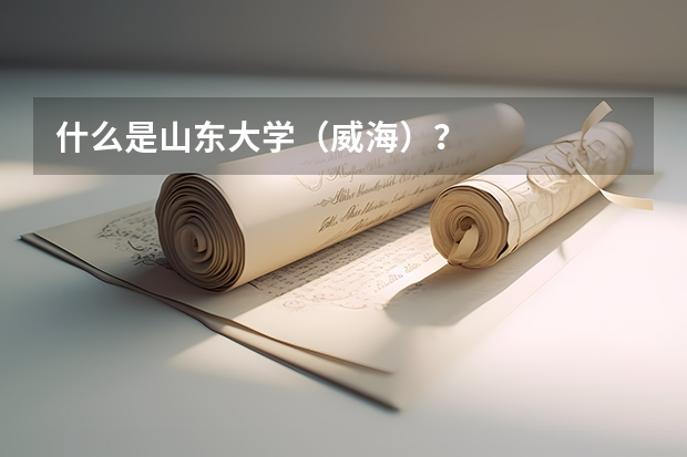 什么是山东大学（威海）？