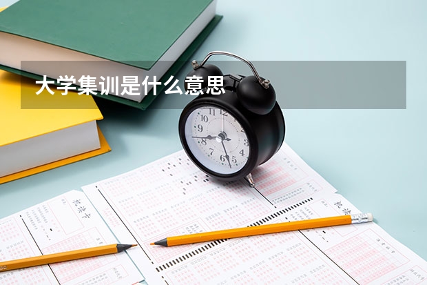 大学集训是什么意思