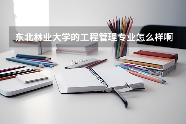 东北林业大学的工程管理专业怎么样啊？谁能帮帮我，谢。