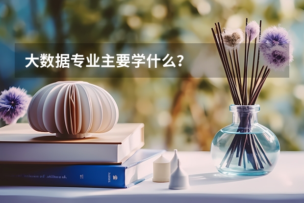 大数据专业主要学什么？