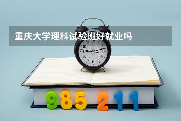 重庆大学理科试验班好就业吗