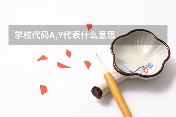 学校代码A,Y代表什么意思