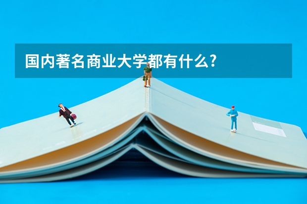 国内著名商业大学都有什么?