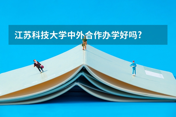 江苏科技大学中外合作办学好吗?