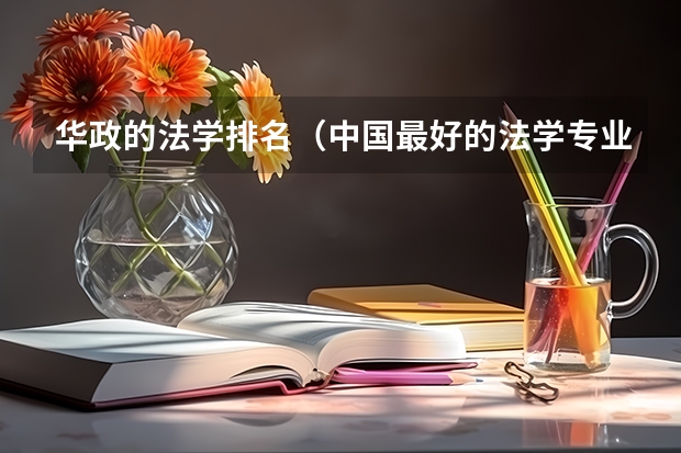 华政的法学排名（中国最好的法学专业大学排名）