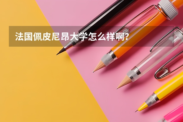 法国佩皮尼昂大学怎么样啊？