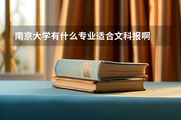 南京大学有什么专业适合文科报啊