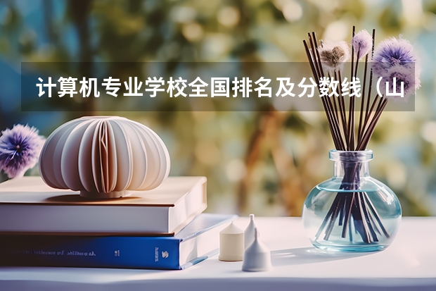 计算机专业学校全国排名及分数线（山东省计算机专业大学排名）