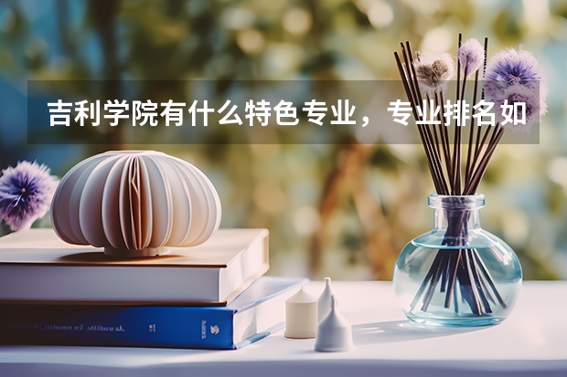 吉利学院有什么特色专业，专业排名如何