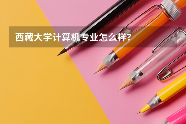 西藏大学计算机专业怎么样？