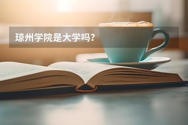 琼州学院是大学吗？