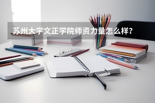 苏州大学文正学院师资力量怎么样？