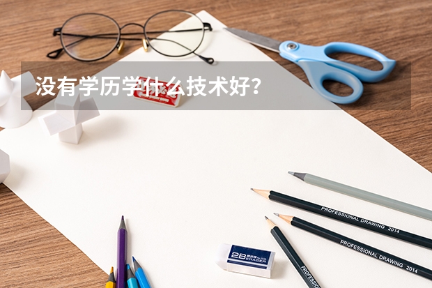 没有学历学什么技术好？