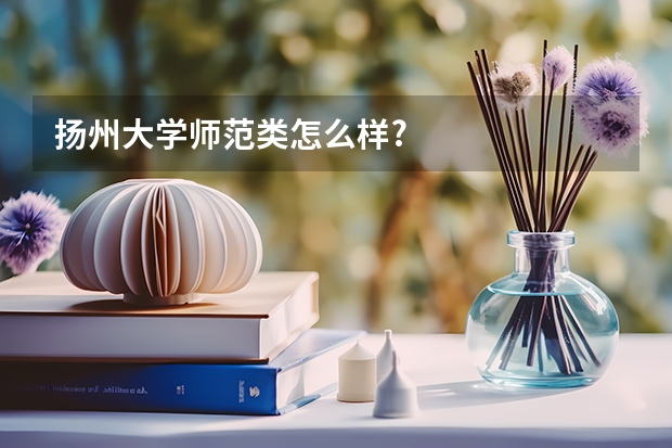 扬州大学师范类怎么样?