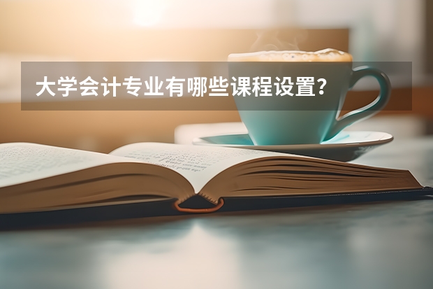 大学会计专业有哪些课程设置？