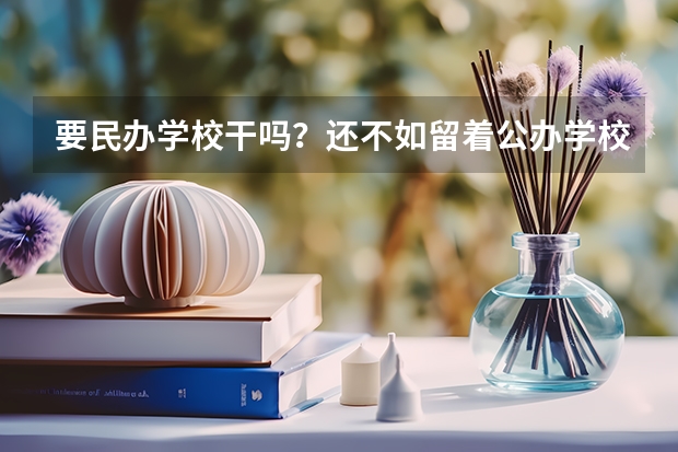 要民办学校干吗？还不如留着公办学校，民办学校干什么的？