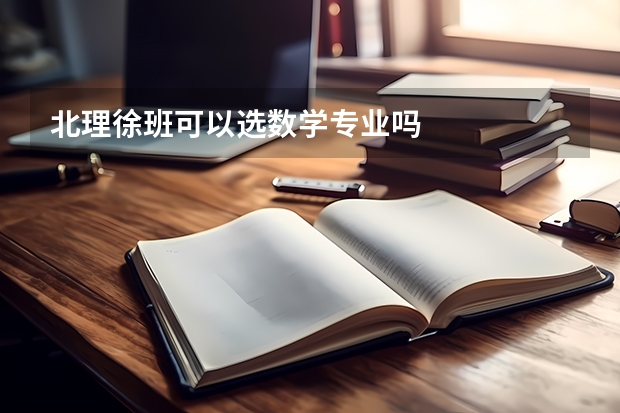 北理徐班可以选数学专业吗