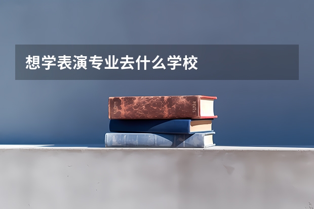 想学表演专业去什么学校