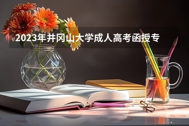 2023年井冈山大学成人高考函授专升本怎么报名？——官方报名入口