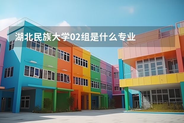 湖北民族大学02组是什么专业